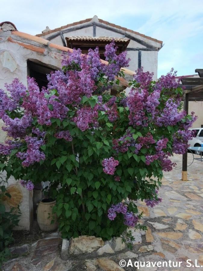Hébergement de vacances Casa De Piragueistas Taravilla